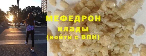хмурый Аркадак