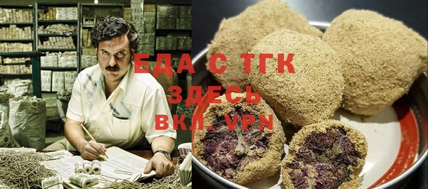 хмурый Аркадак