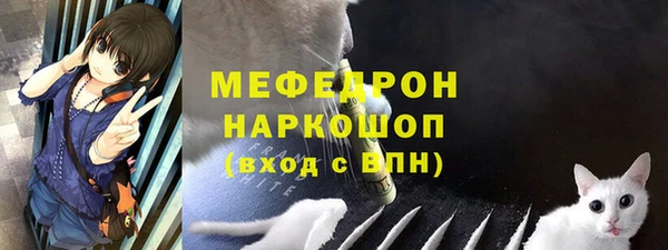 хмурый Аркадак