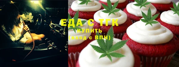 хмурый Аркадак