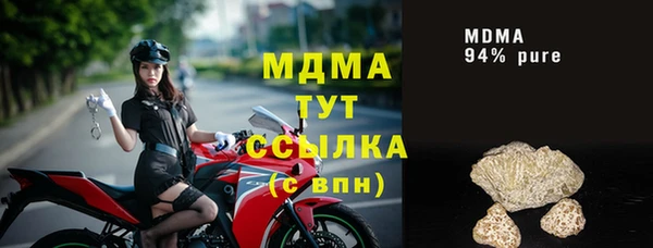 хмурый Аркадак