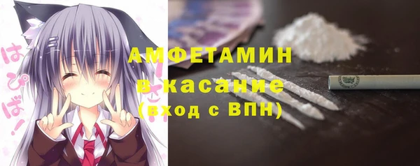 хмурый Аркадак