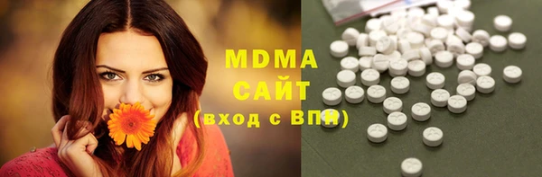хмурый Аркадак