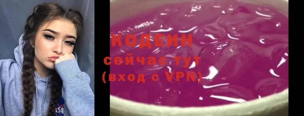 хмурый Аркадак