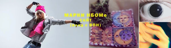 хмурый Аркадак