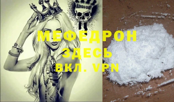 хмурый Аркадак