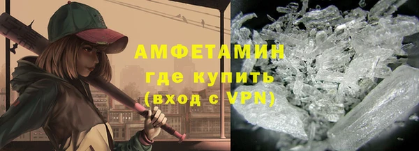 хмурый Аркадак