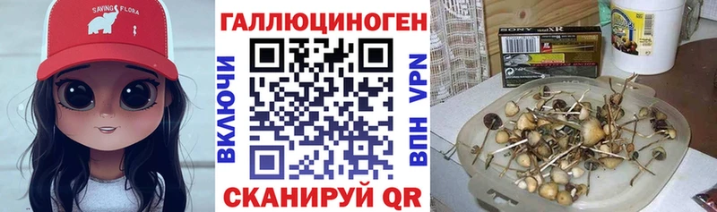 Псилоцибиновые грибы GOLDEN TEACHER Североморск